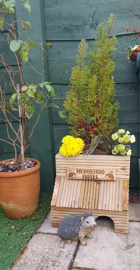 Handmade 2 In 1 Wooden Hedgehog House Hibernation Nest Shelter Box With Planter