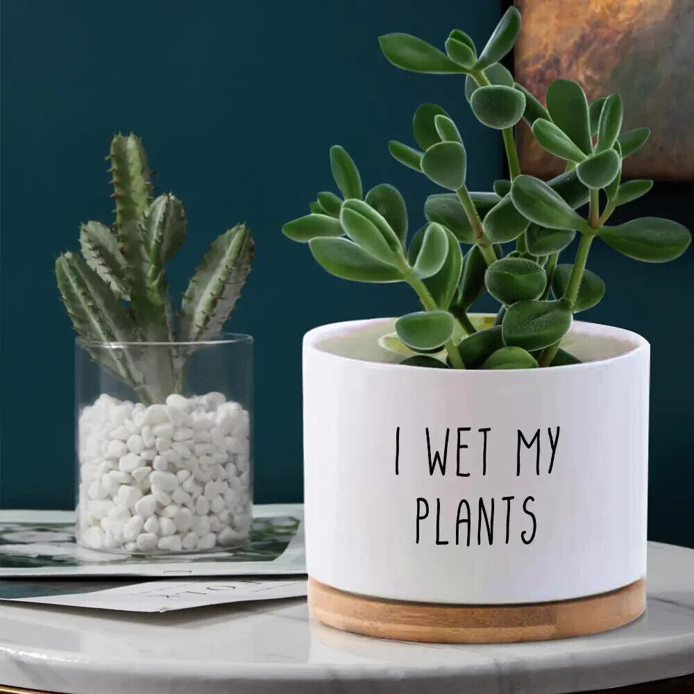 Personalised Botanical Theme Any Name Plant Pot Indoor Planter Ceramic White