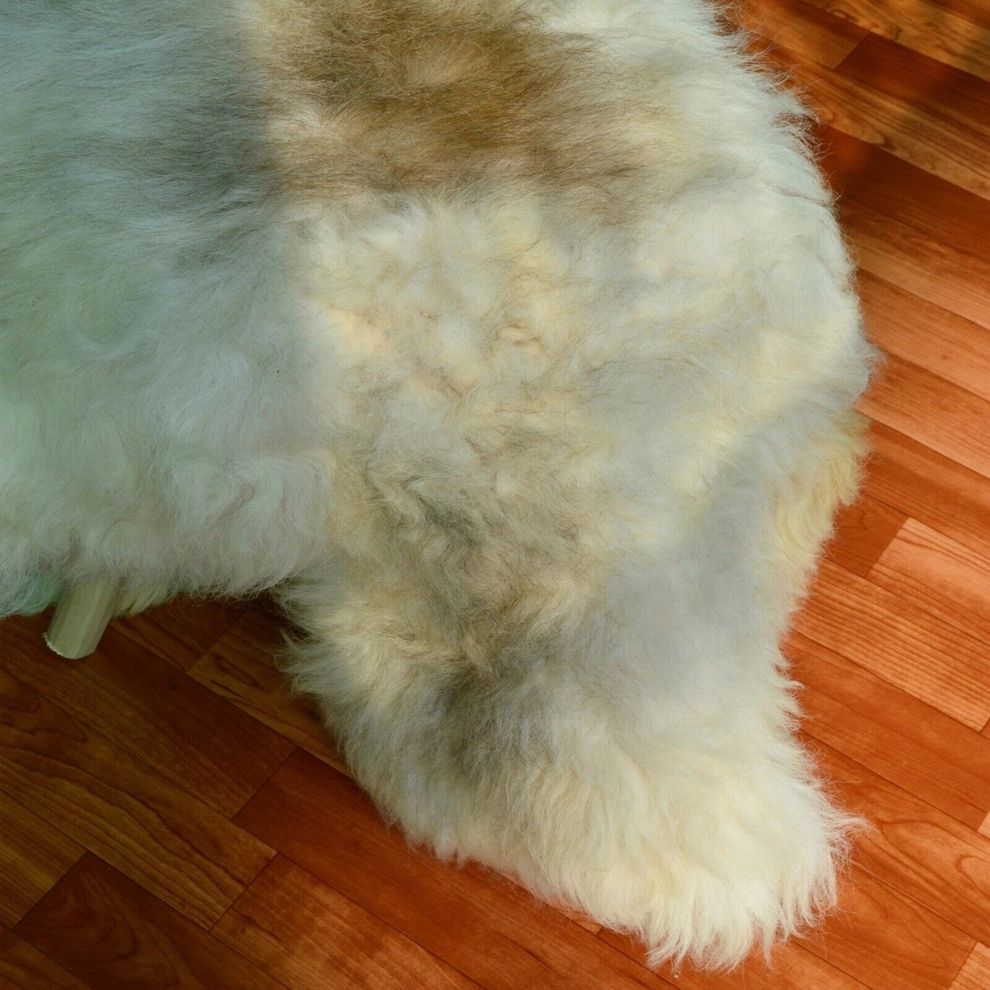 Genuine Natural Large Real Sheepskin Rug Luxury British Throw Premium Silky XL