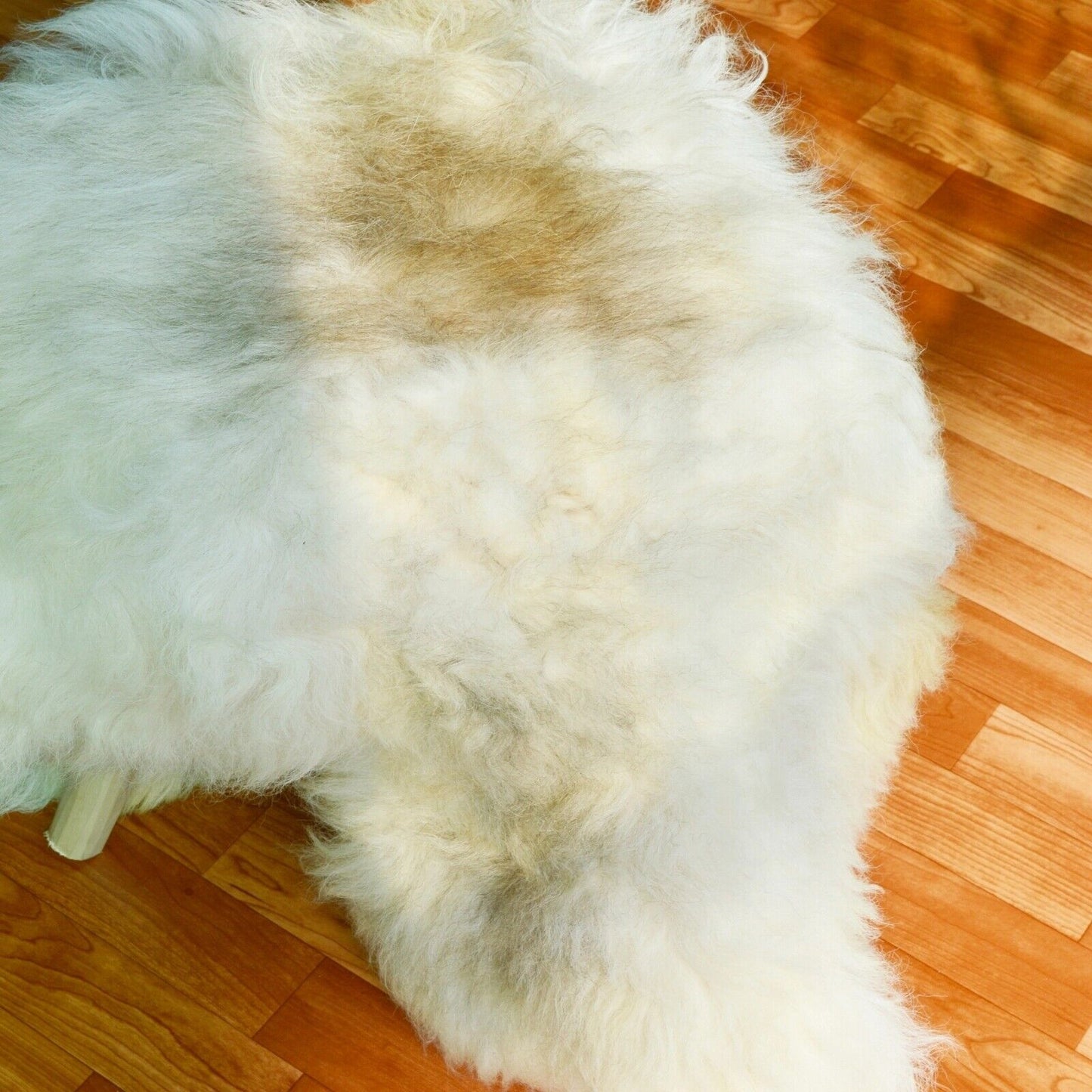 Genuine Natural Large Real Sheepskin Rug Luxury British Throw Premium Silky XL