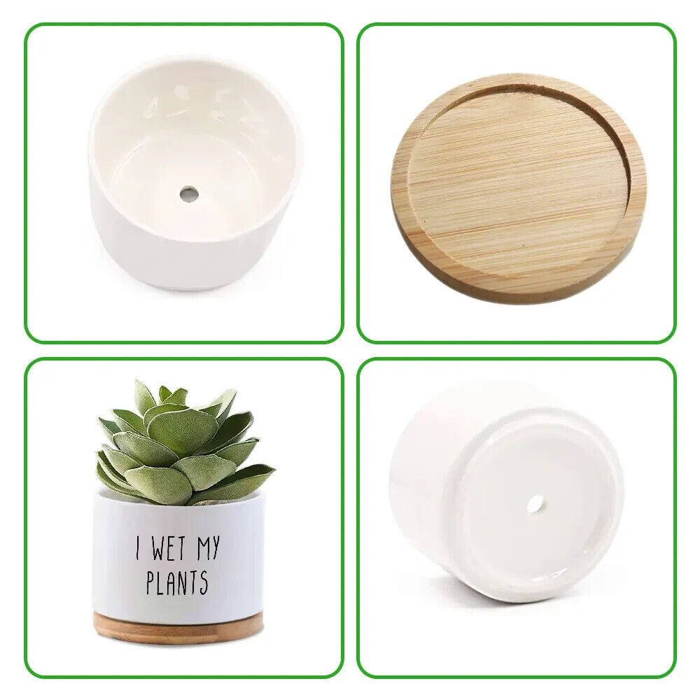 Personalised Botanical Theme Any Name Plant Pot Indoor Planter Ceramic White